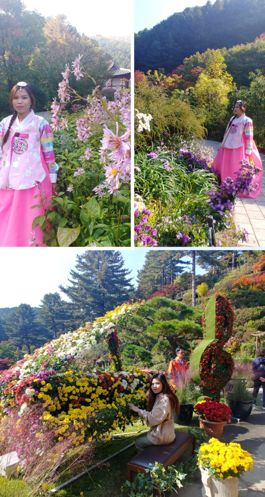 Seoul and Nearby Attractions: Garden of the Morning Calm, South Korea Seoul and Nearby Attractions: Garden of the Morning Calm, South Korea