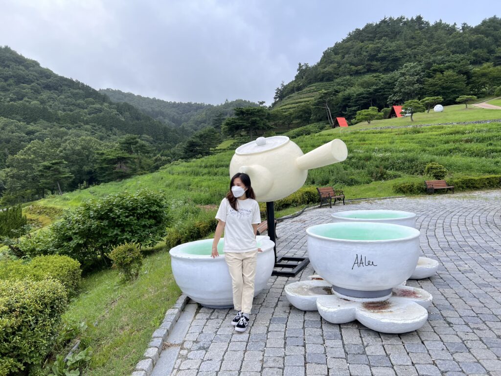 Boseong Green Tea Fields, one of the must-see attractions in South Korea during spring.