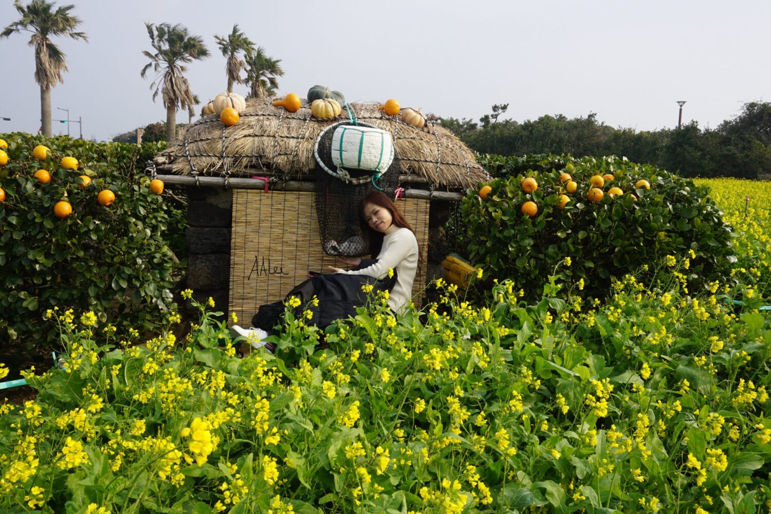 Jeju Island, South Korea during spring