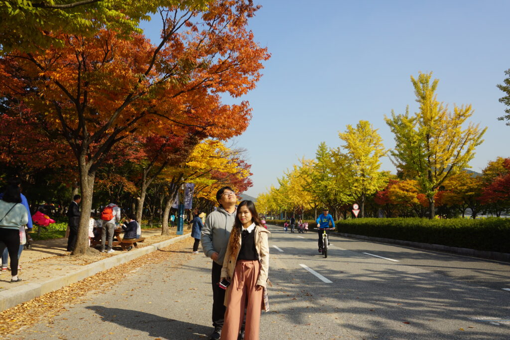 South Korea's Incheon Grand Park in peak fall foliage
