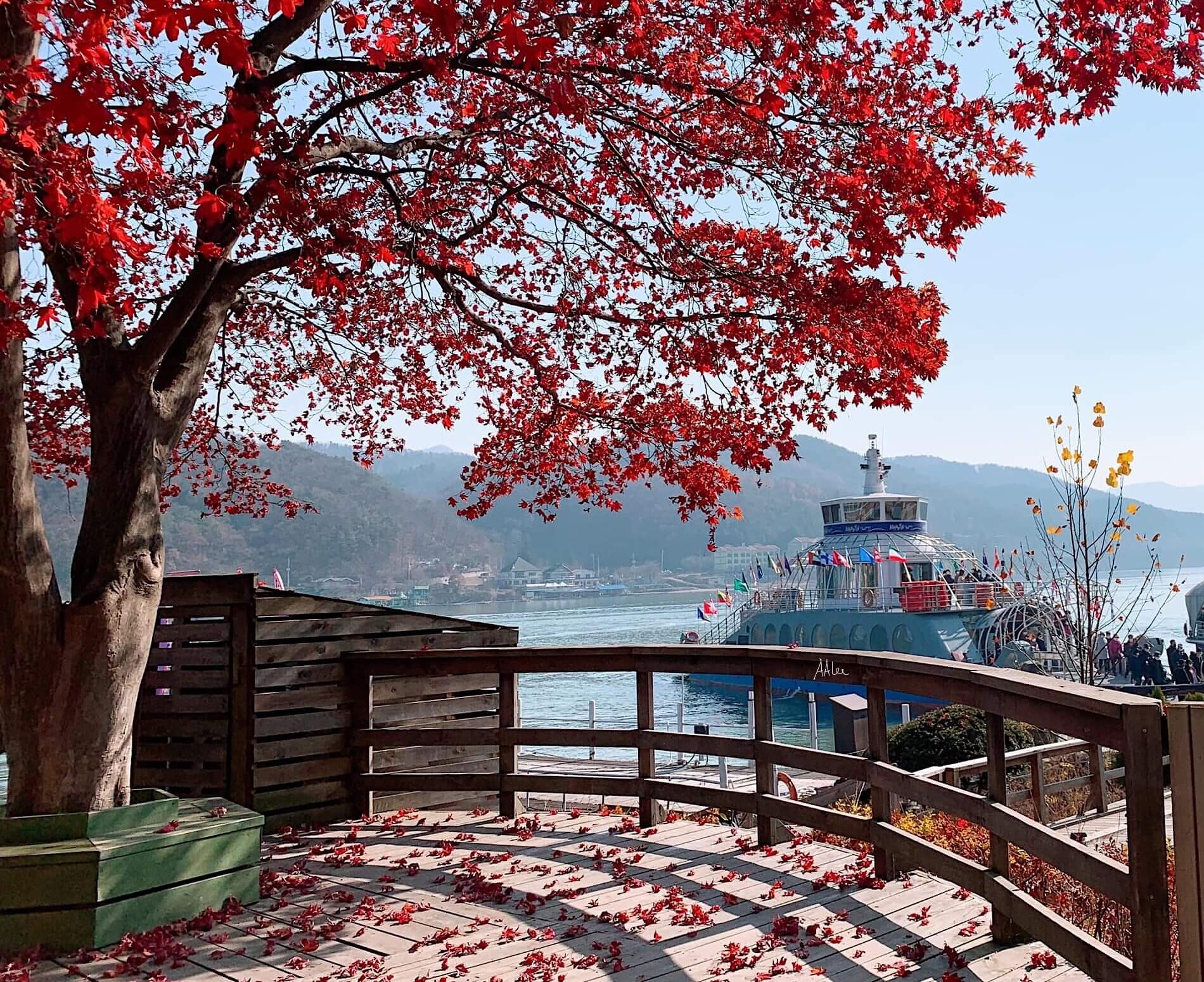 Nami Island, South Korea